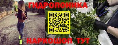 PSILOCYBIN Мариинск